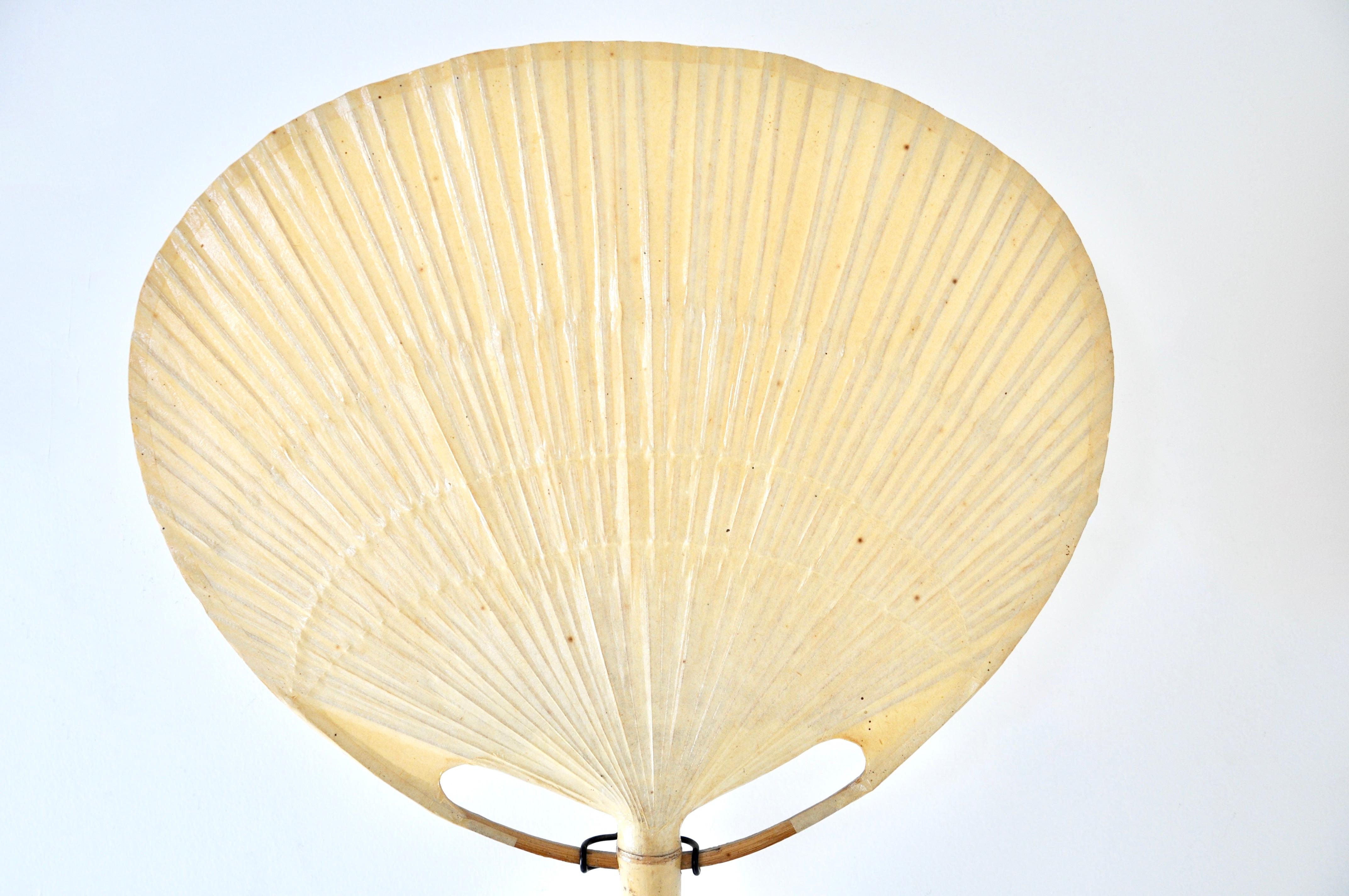 Wall Lamps 