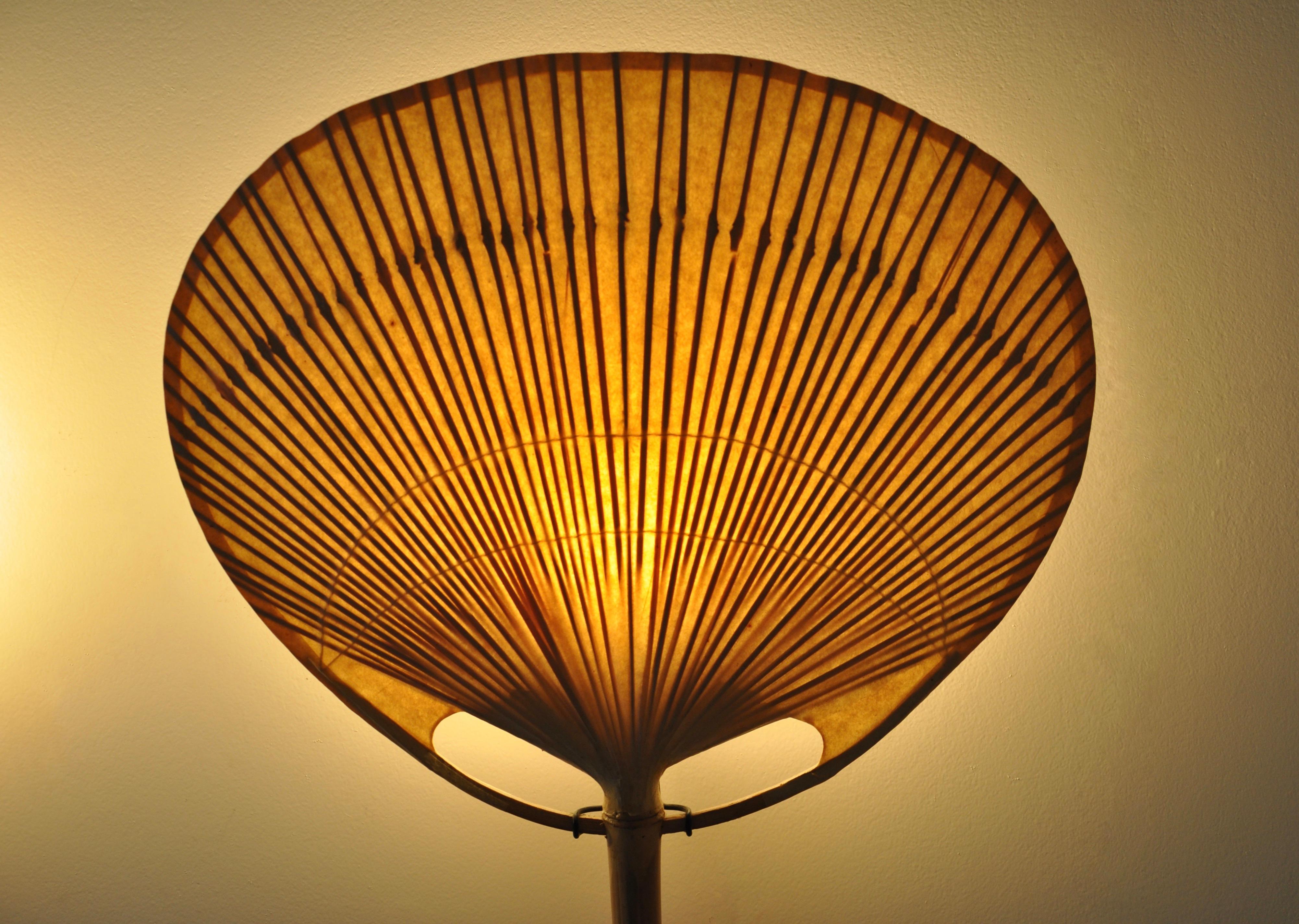 Wall Lamps 