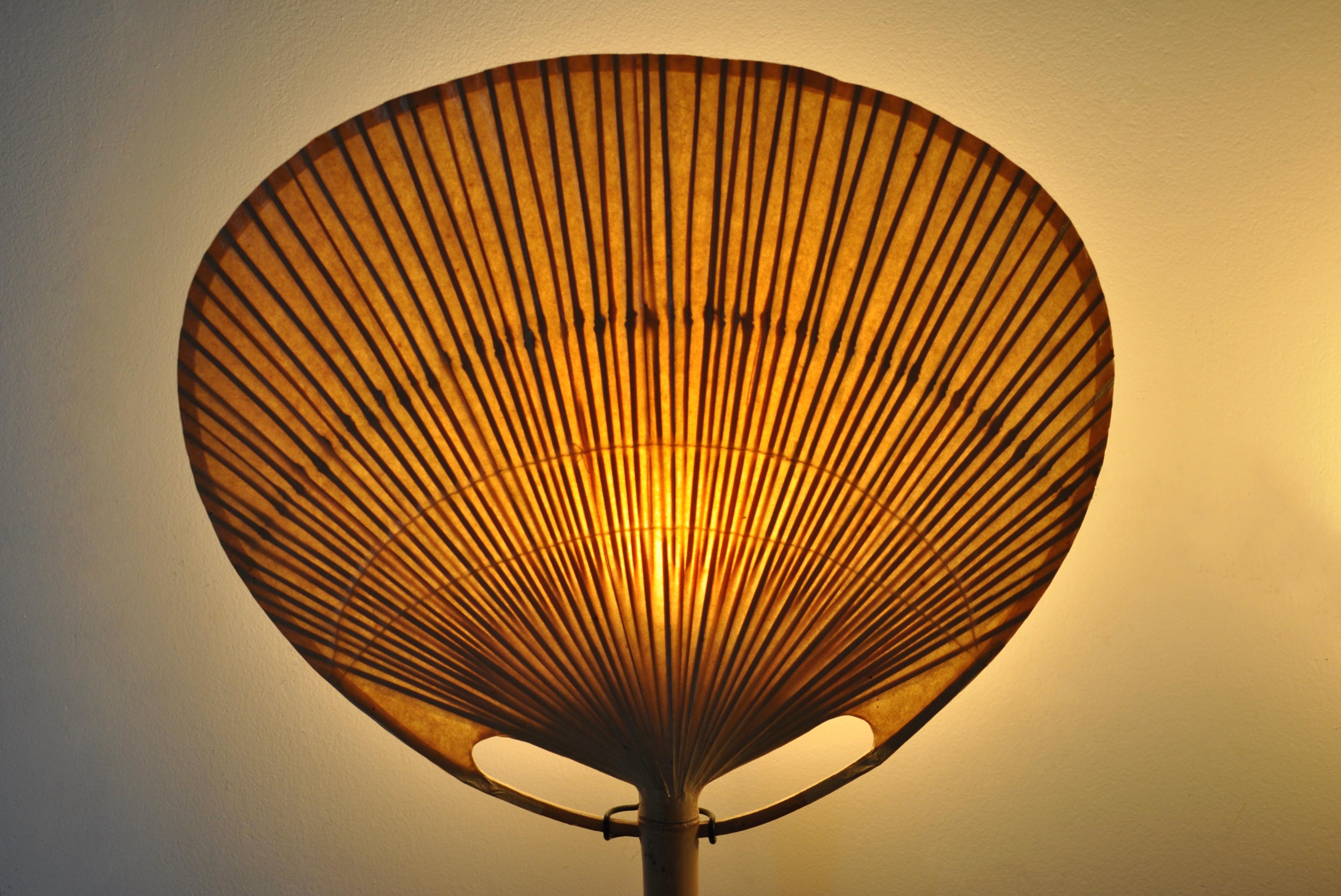 Wall Lamps 