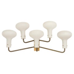 Wall Light by Ignazio Gardella, 1960