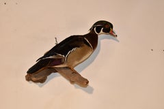 Support mural d'un canard en bois sur Wood, Circa 1970