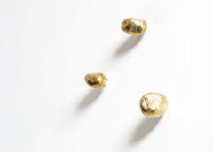 Wall-mounted coat hook Minotti Italia Pepite design Roberto Mora-Set of 3 hooks