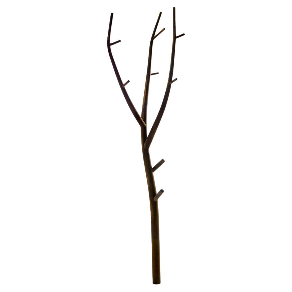 Wall-mounted coat rack /Wall hooks Opinion Ciatti Ramo design Marcantonio Corten