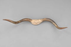 Wandmontierte Hörner