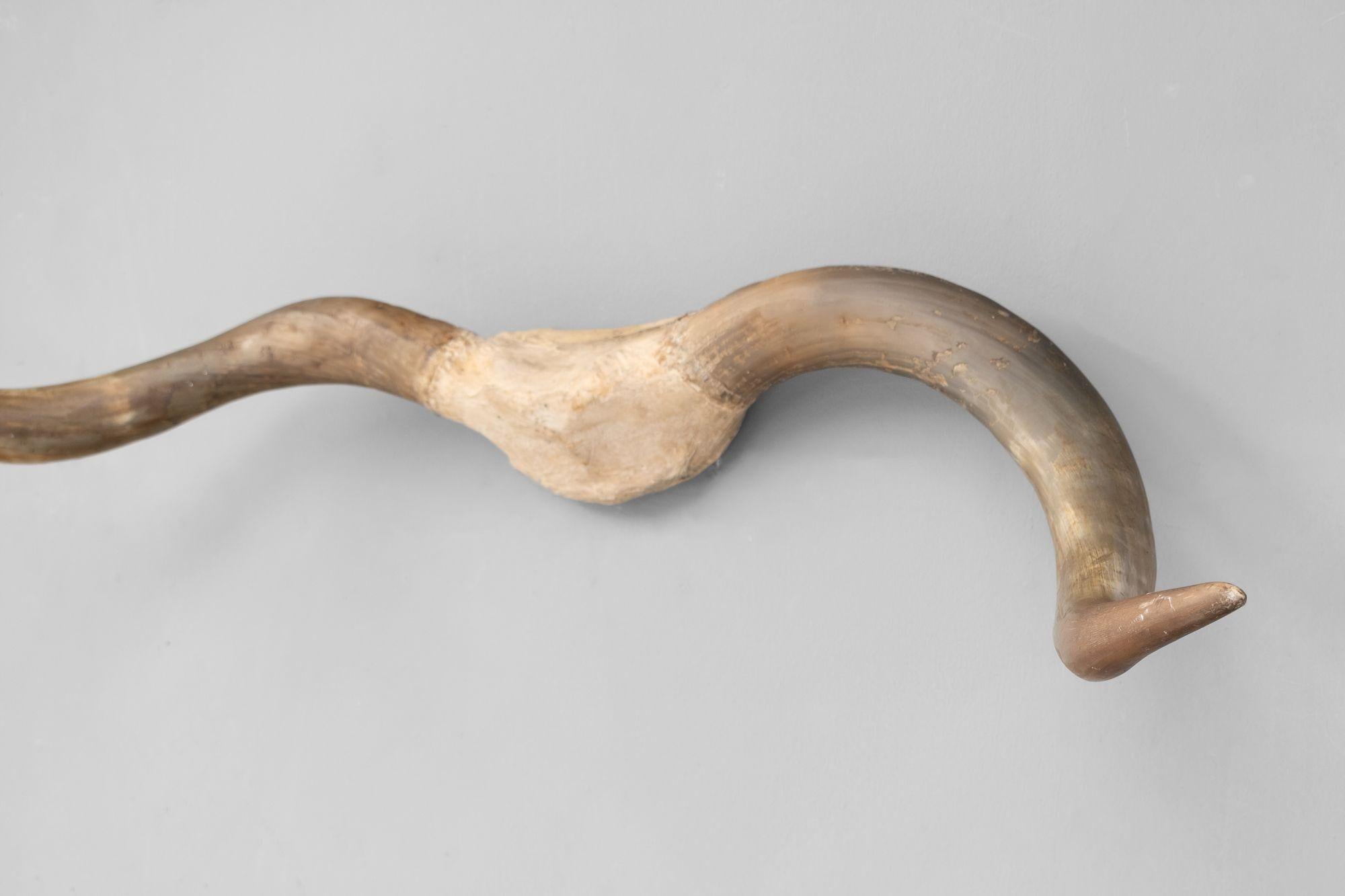 Horn montati a parete In condizioni buone in vendita a London, England