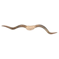 Horn montati a parete