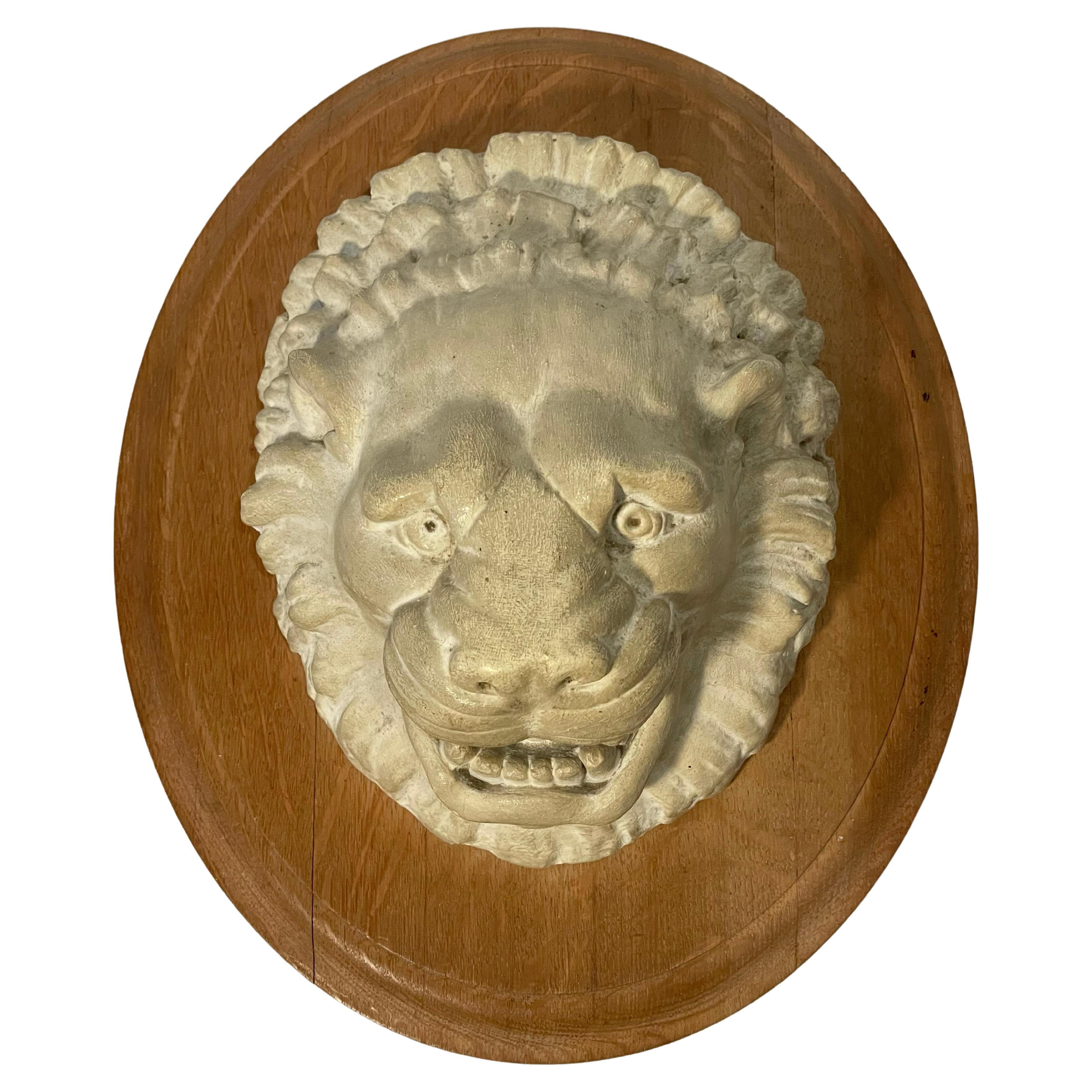 Wall Mounted Lion's Head