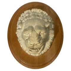 Wall Mounted Lion's Head