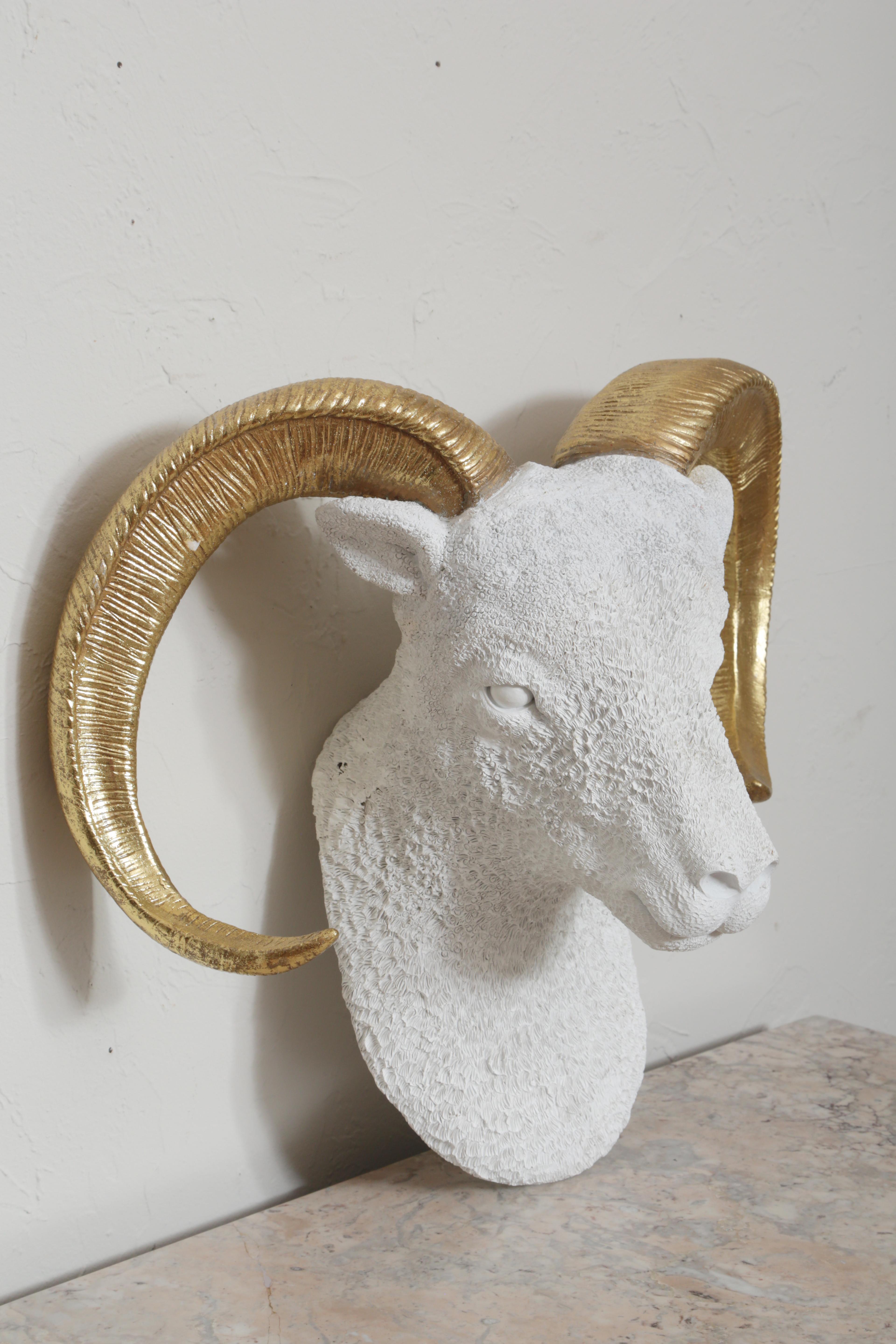 Wall mounted white Ram's head with gilded horns.