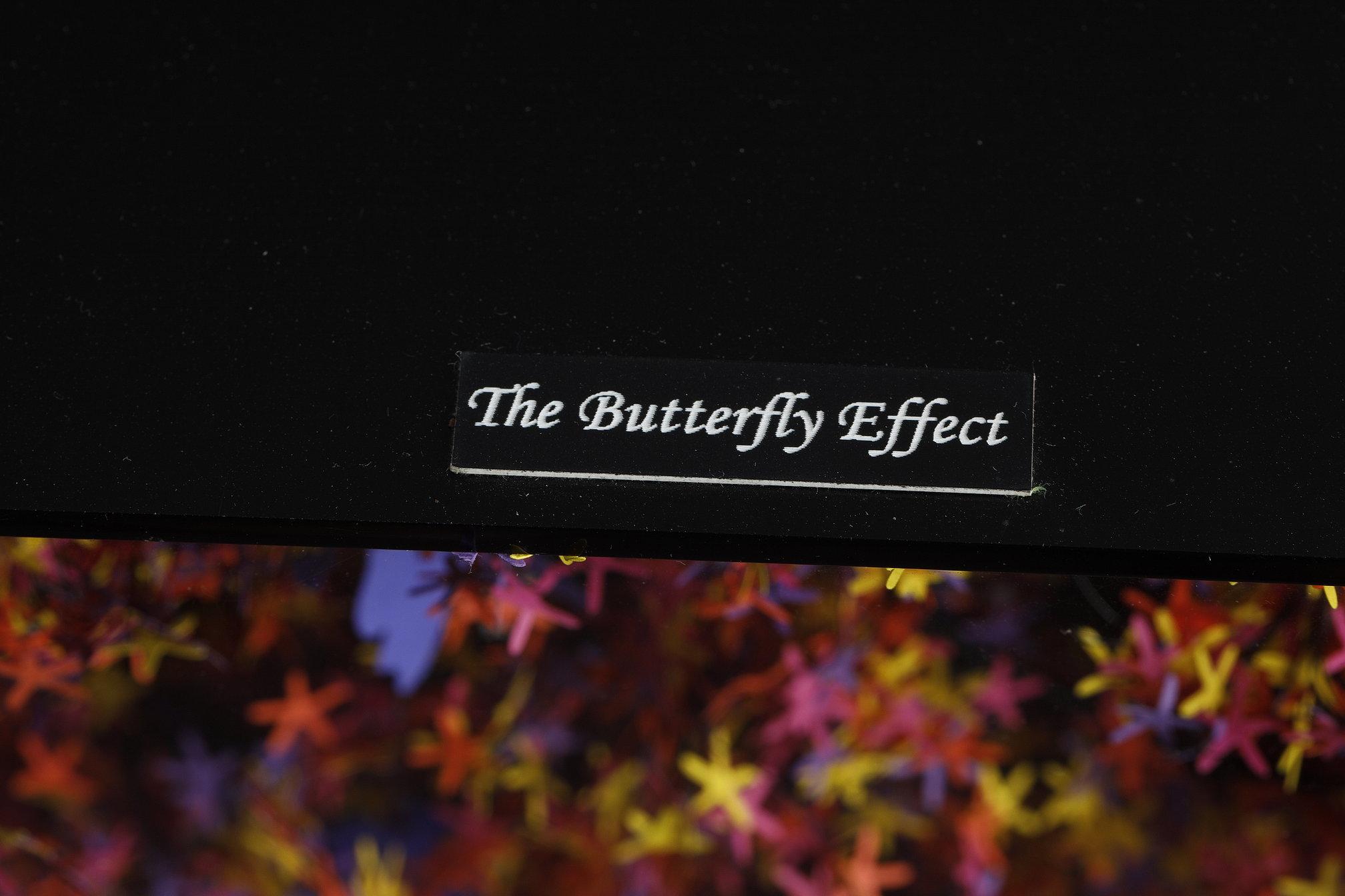 Wall-mounted sculpture in paper and metal by Nayla Tabet, The Butterfly Effect For Sale 13