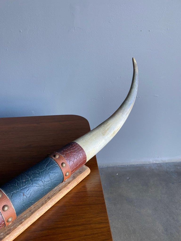 Wall Mounted Steer Horn at 1stDibs