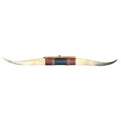 Wall Mounted Steer Horn 