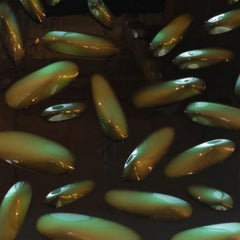 Oggetto da parete dell'artista Willi Sibers