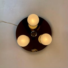 Wall or Ceiling Bathroom Lamp by Bath, 1970’s
