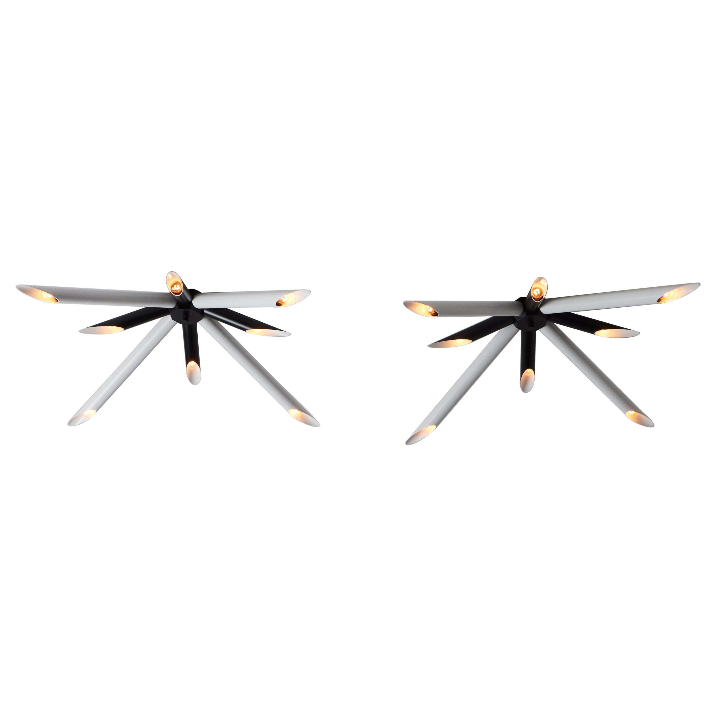Wall or Ceiling Lights Attributed to Gaetano Sciolari For Sale