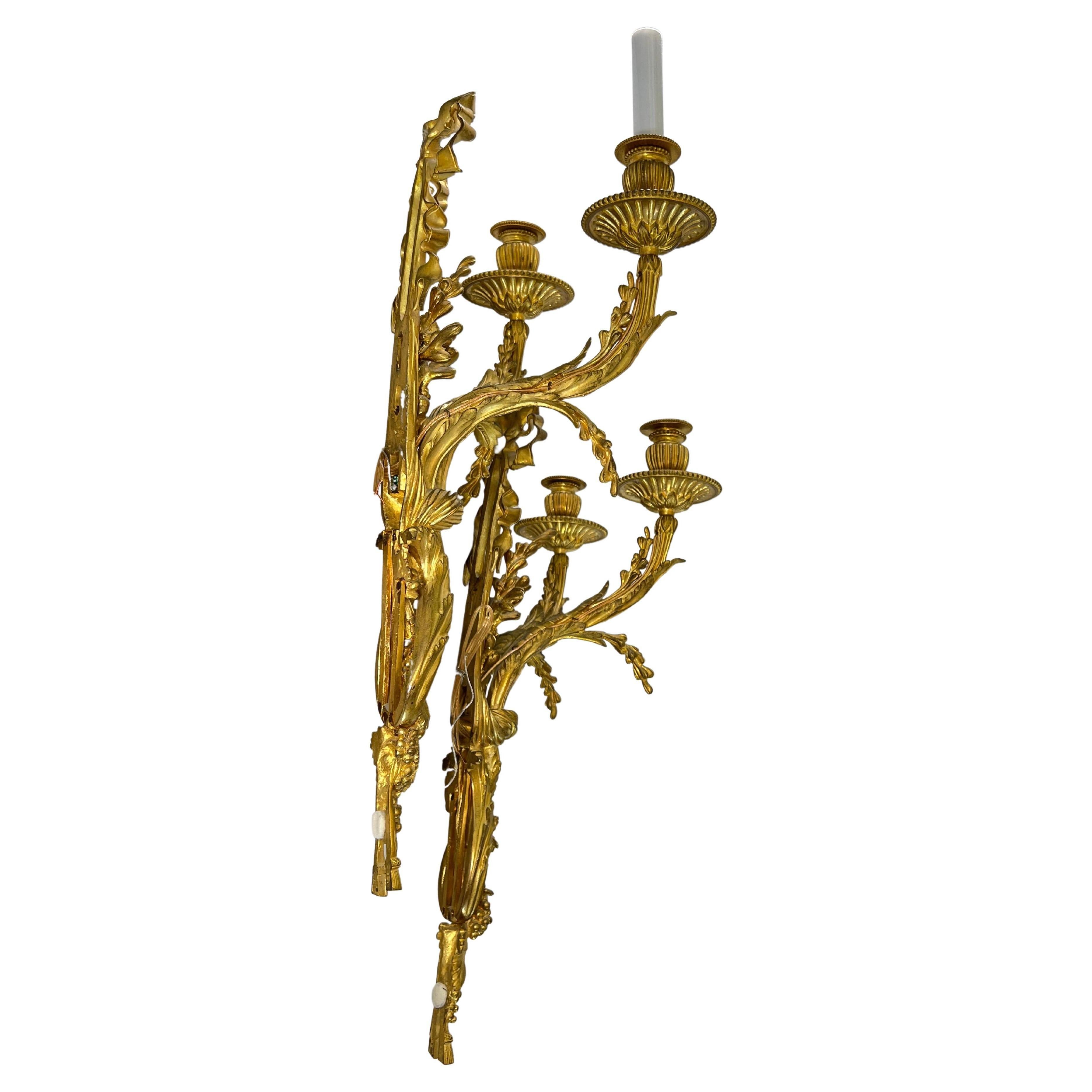 Wall Sconces Pair Mid-19th Century French Louis XVI Bronze Doré For Sale 1