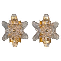 Wall sconces in flower shaped glass and brass base, Mid-Century Design.