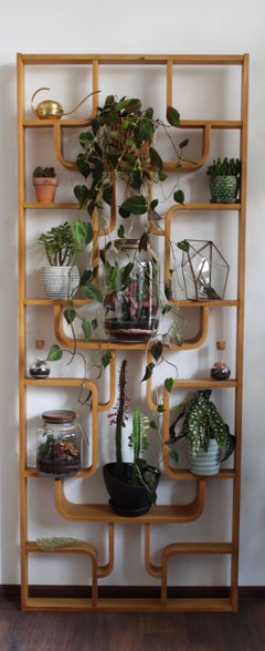Wall Unit by Ludvik Volak for Drevopodnik Holesov, 1960s, Bent Plywood, Restored