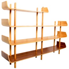 Vintage Wall Unit by Willem Lutjens for Gouda Den Boer, 1950s