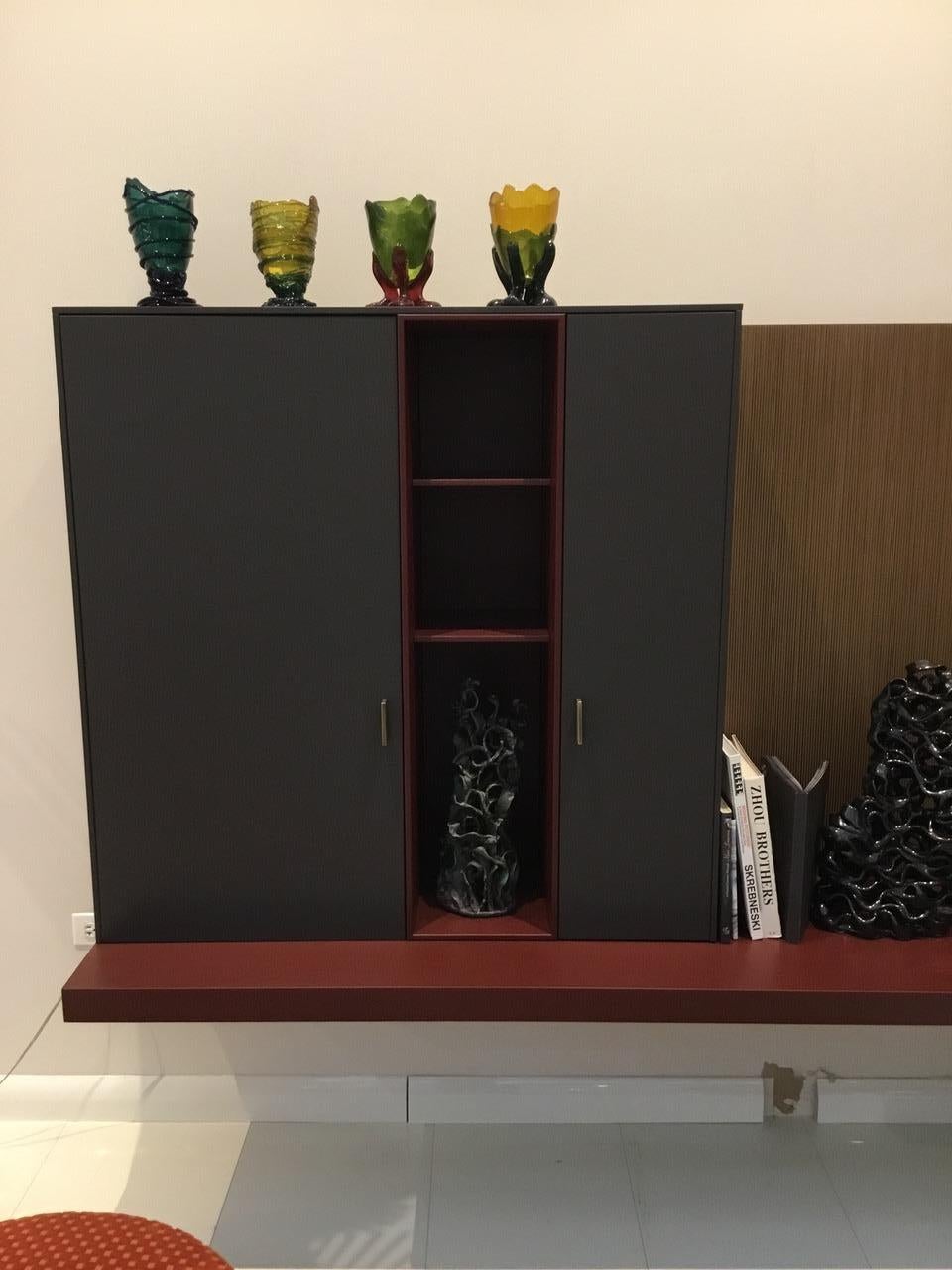 Contemporary Wall Unit in Matt Lacquer & Wood by David Lopez Quincoces for Lema For Sale
