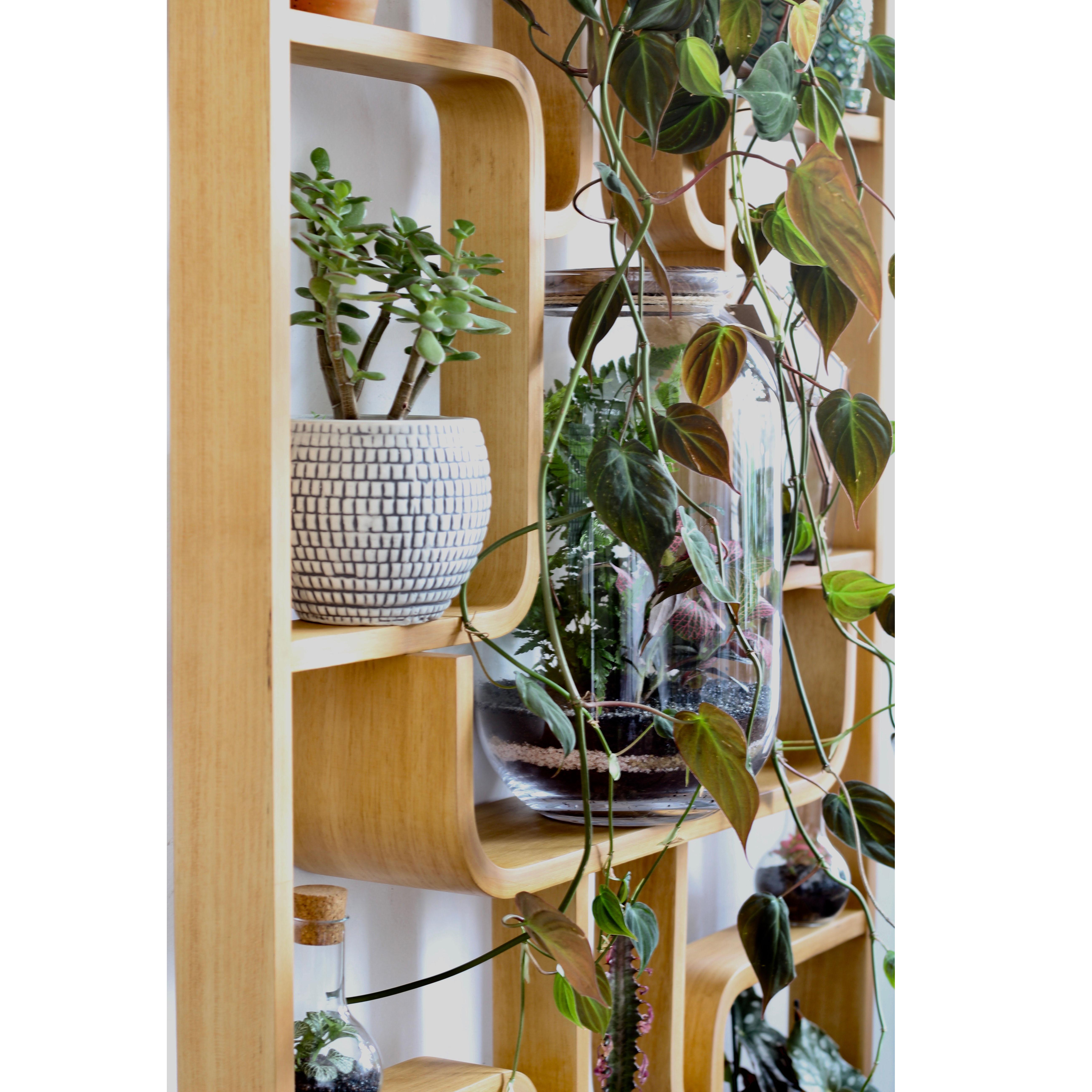Mueble de pared o separador de ambientes de Ludvik Volak, Holesov, 1960, contrachapado curvado, restaurado 4