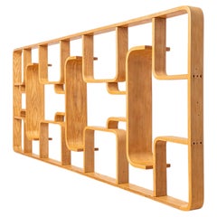 Wall Unit or Room Divider by Ludvik Volak, Holesov, 1960, Bent Plywood, Restored