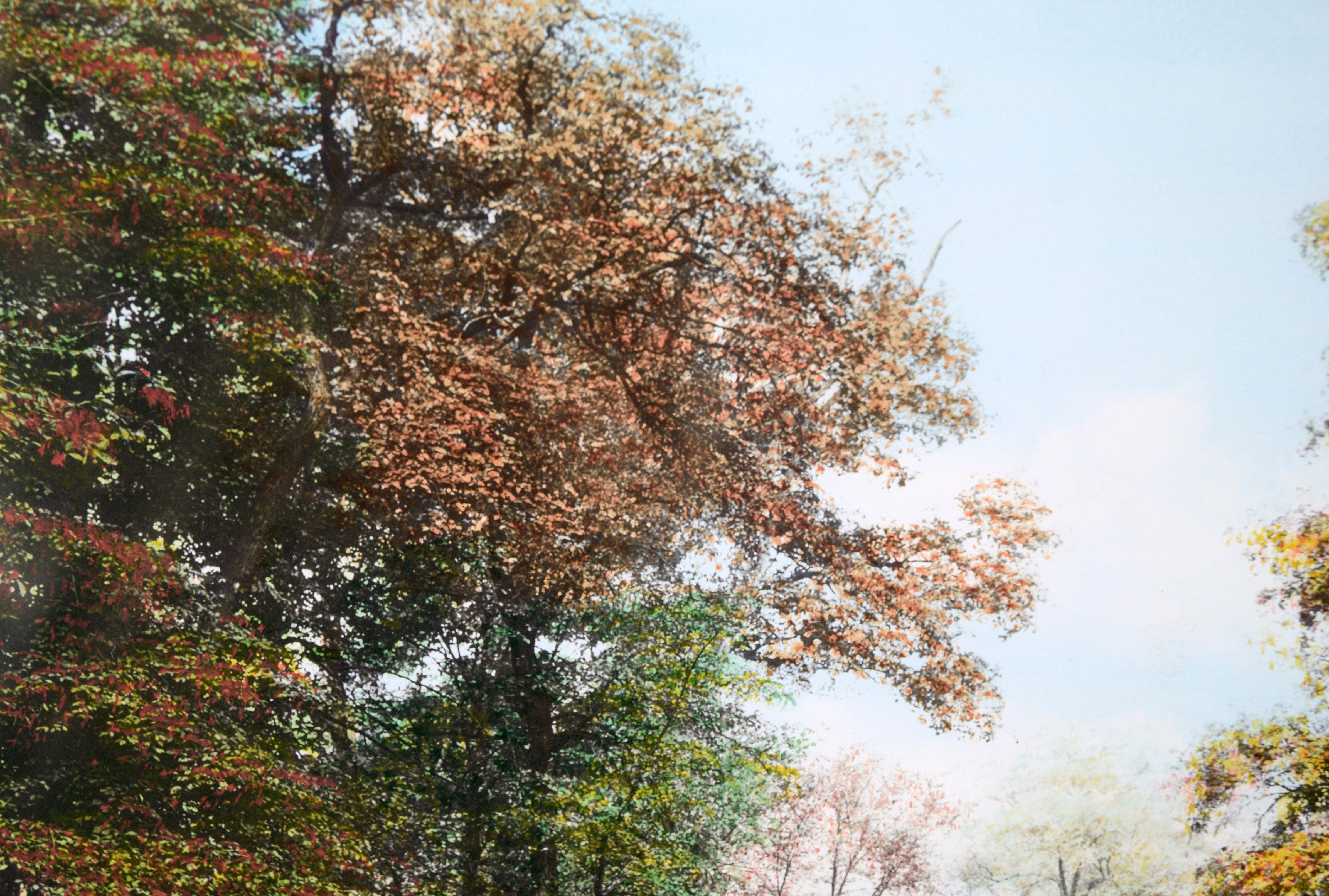 Photographie colorée à la main « A Perkiomen October »

Photographie en noir et blanc d'un étang coloré à la peinture à l'huile par Wallace Whiting (américain, 1861 - 1941). Le spectateur regarde un étang en verre qui reflète le paysage. L'étang est