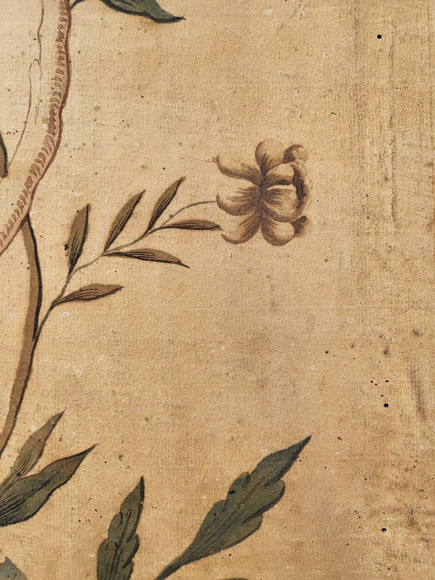 Wallpaper With Birds, Torino Or China, 18th/19th Century For Sale 3