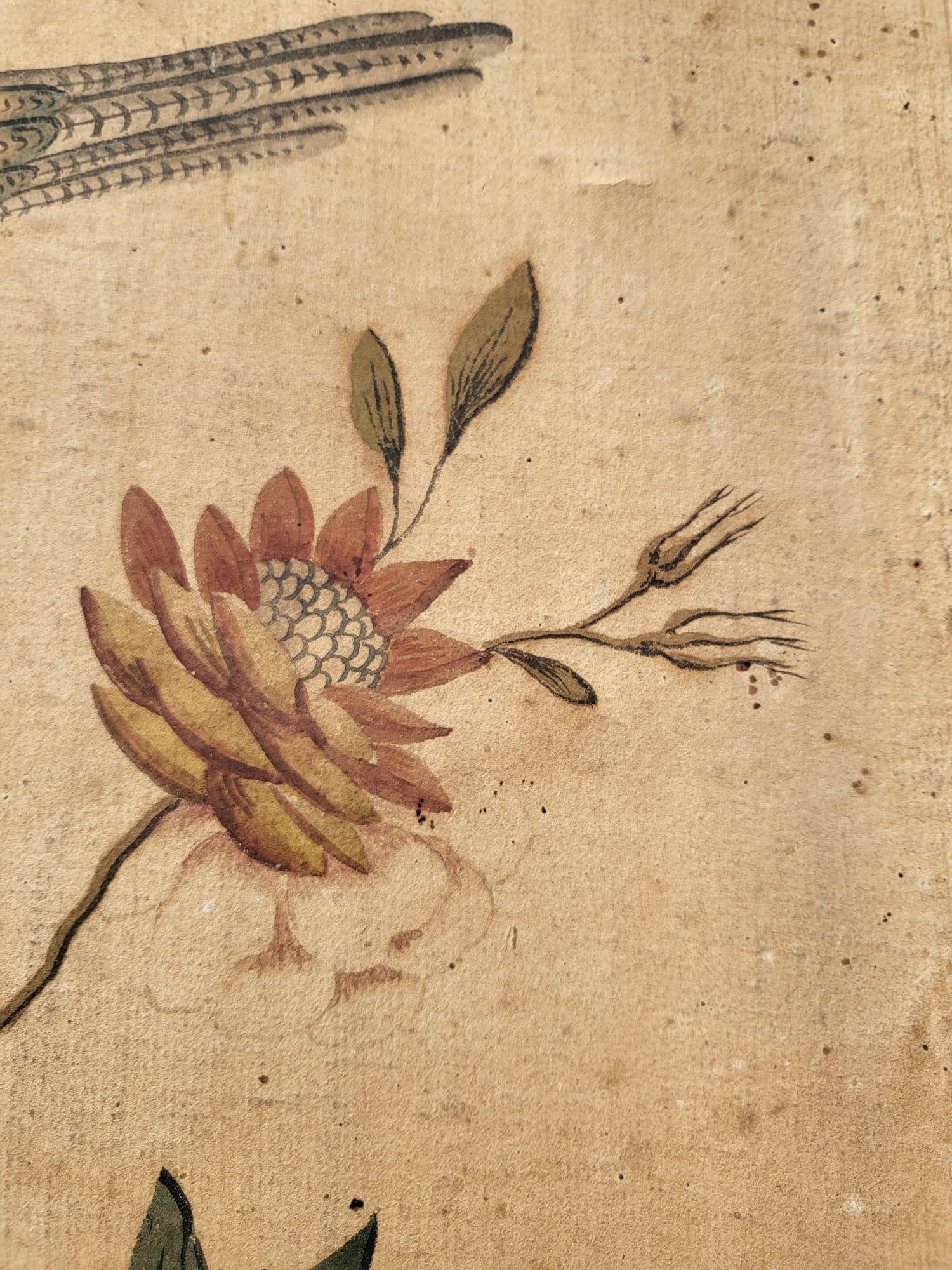 Wallpaper With Birds, Torino Or China, 18th/19th Century For Sale 5