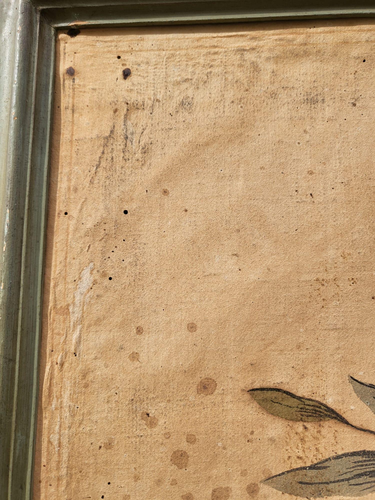 Chinoiserie Wallpaper With Birds, Torino Or China, 18th/19th Century For Sale