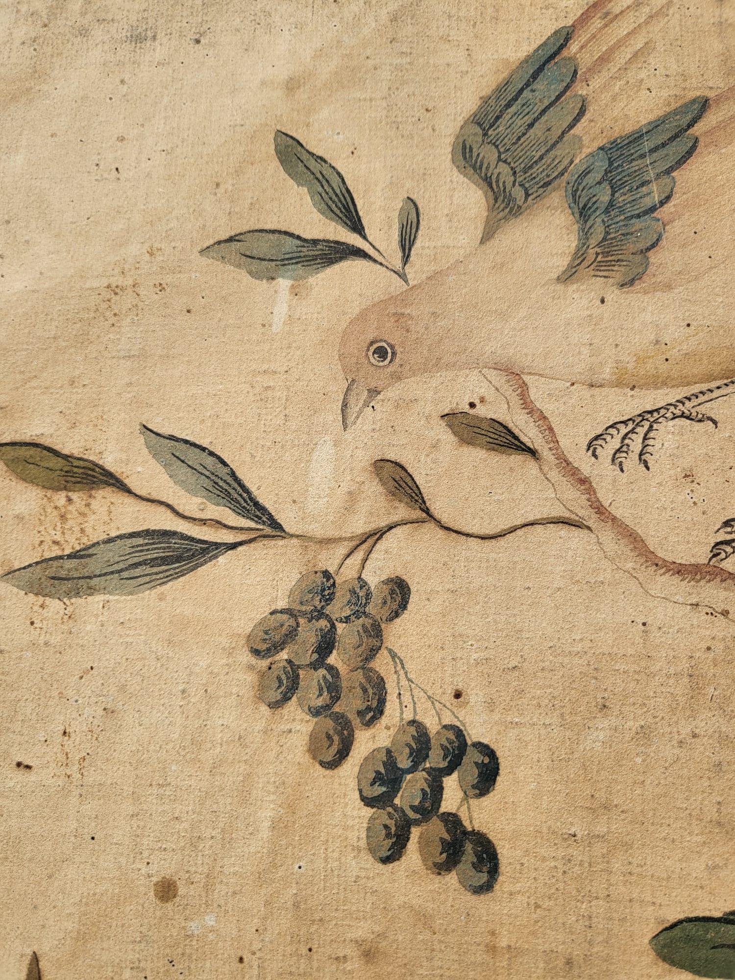 Paper Wallpaper With Birds, Torino Or China, 18th/19th Century For Sale
