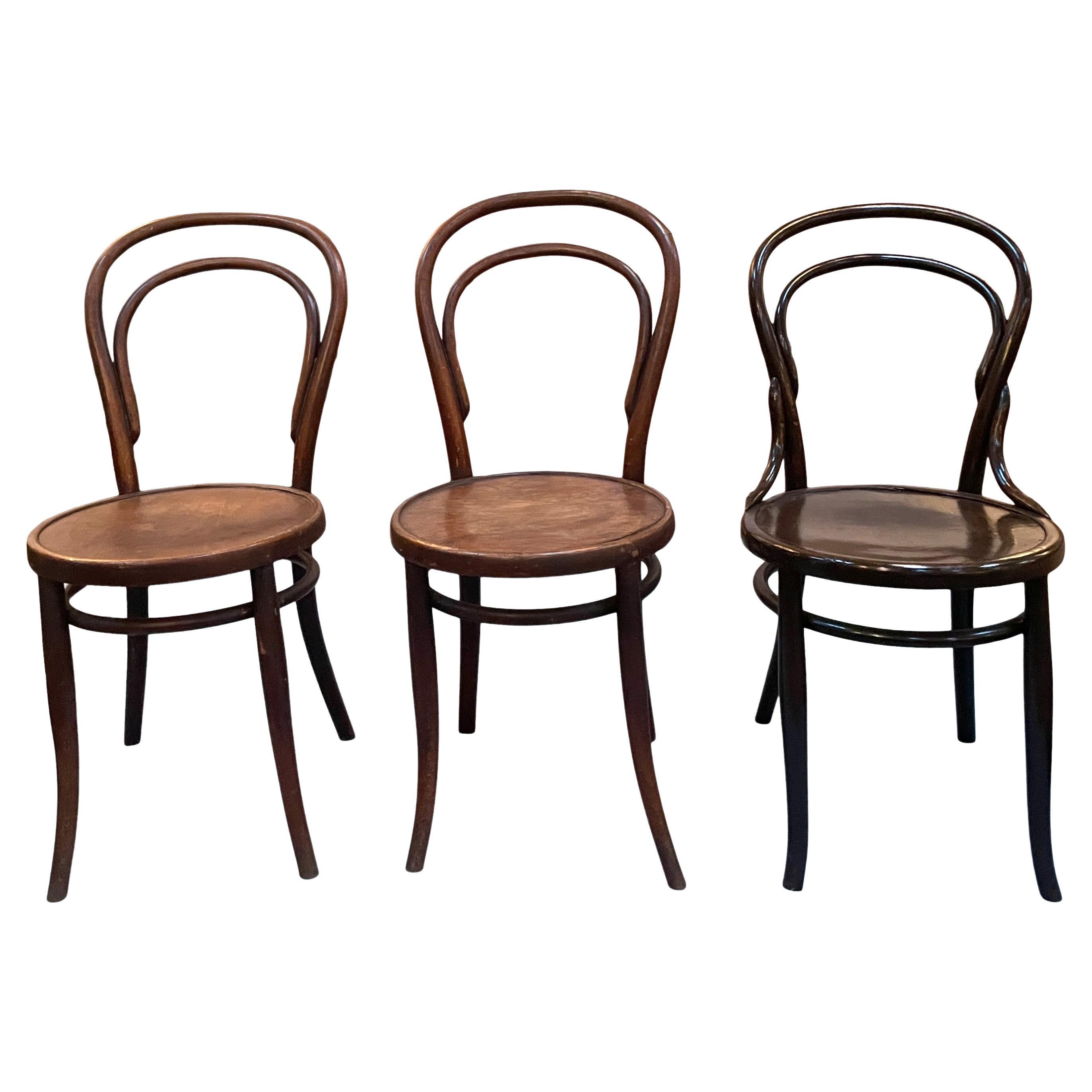 Walnut Bentwood Dining Chairs
