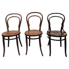 Walnut Bentwood Dining Chairs