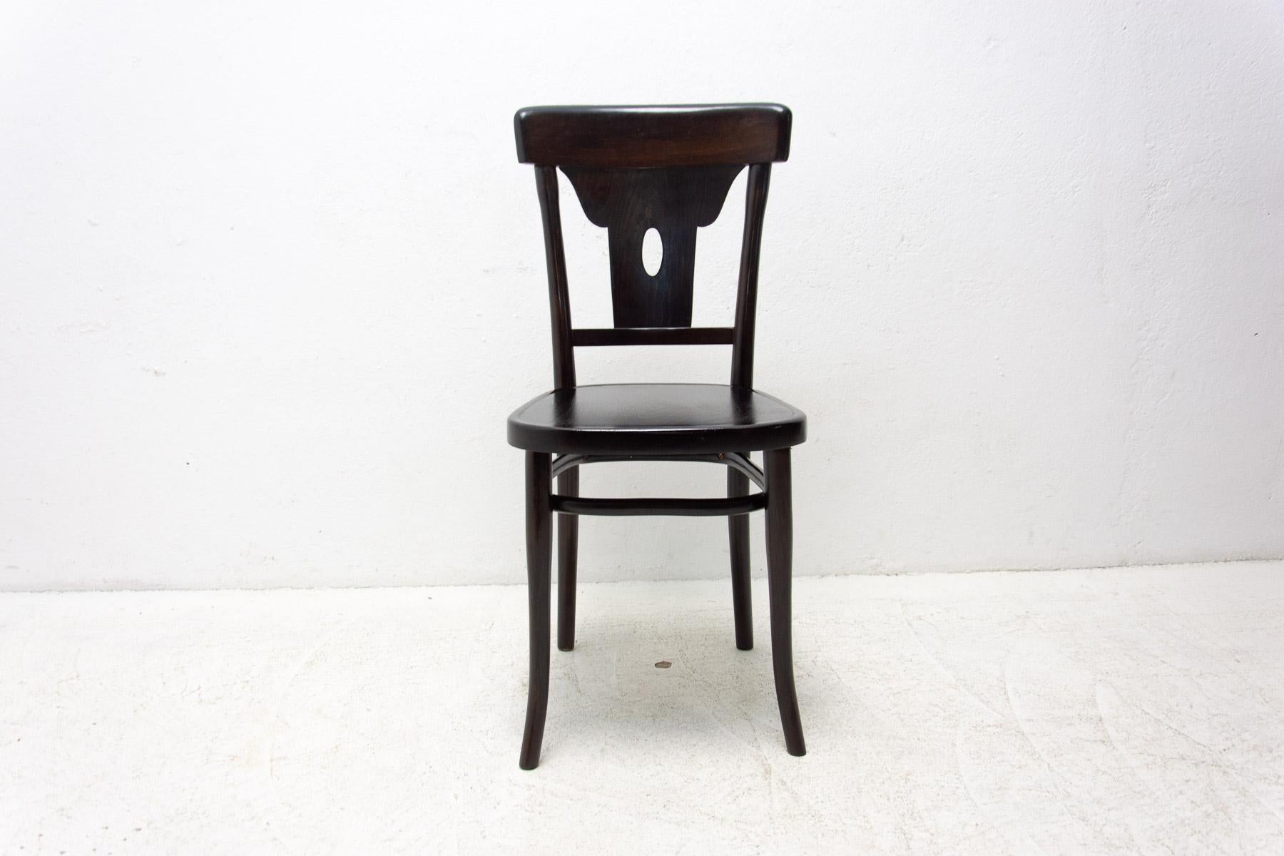 Walnut Bistro Chair Thonet, Czechoslovakia, 1920s 4