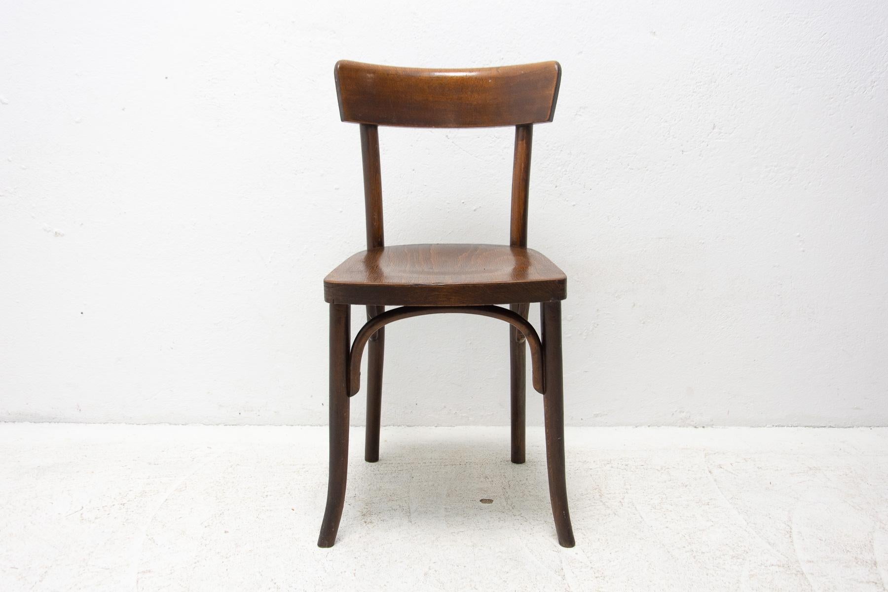 Walnut Bistro Chair Thonet, Czechoslovakia, 1920´s 1