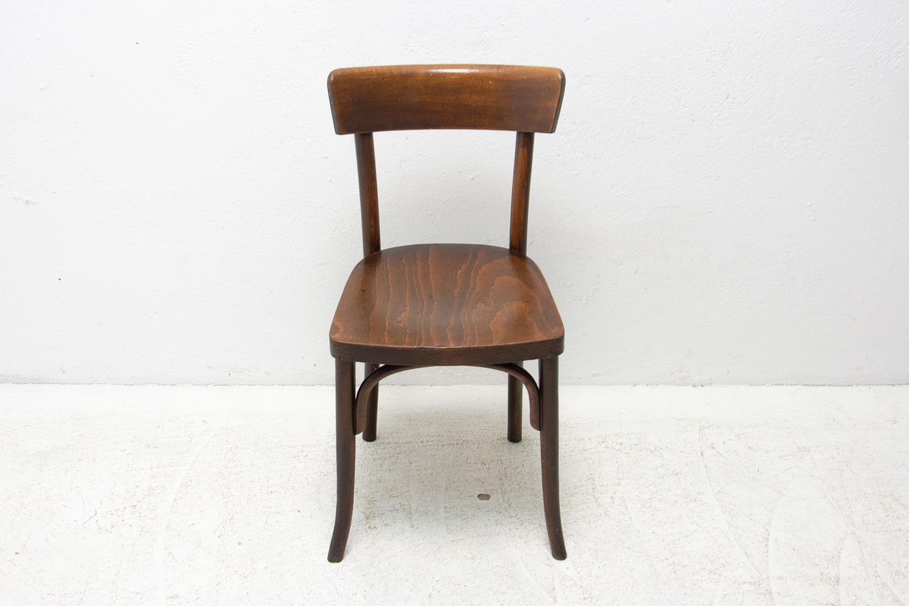 Walnut Bistro Chair Thonet, Czechoslovakia, 1920´s 2