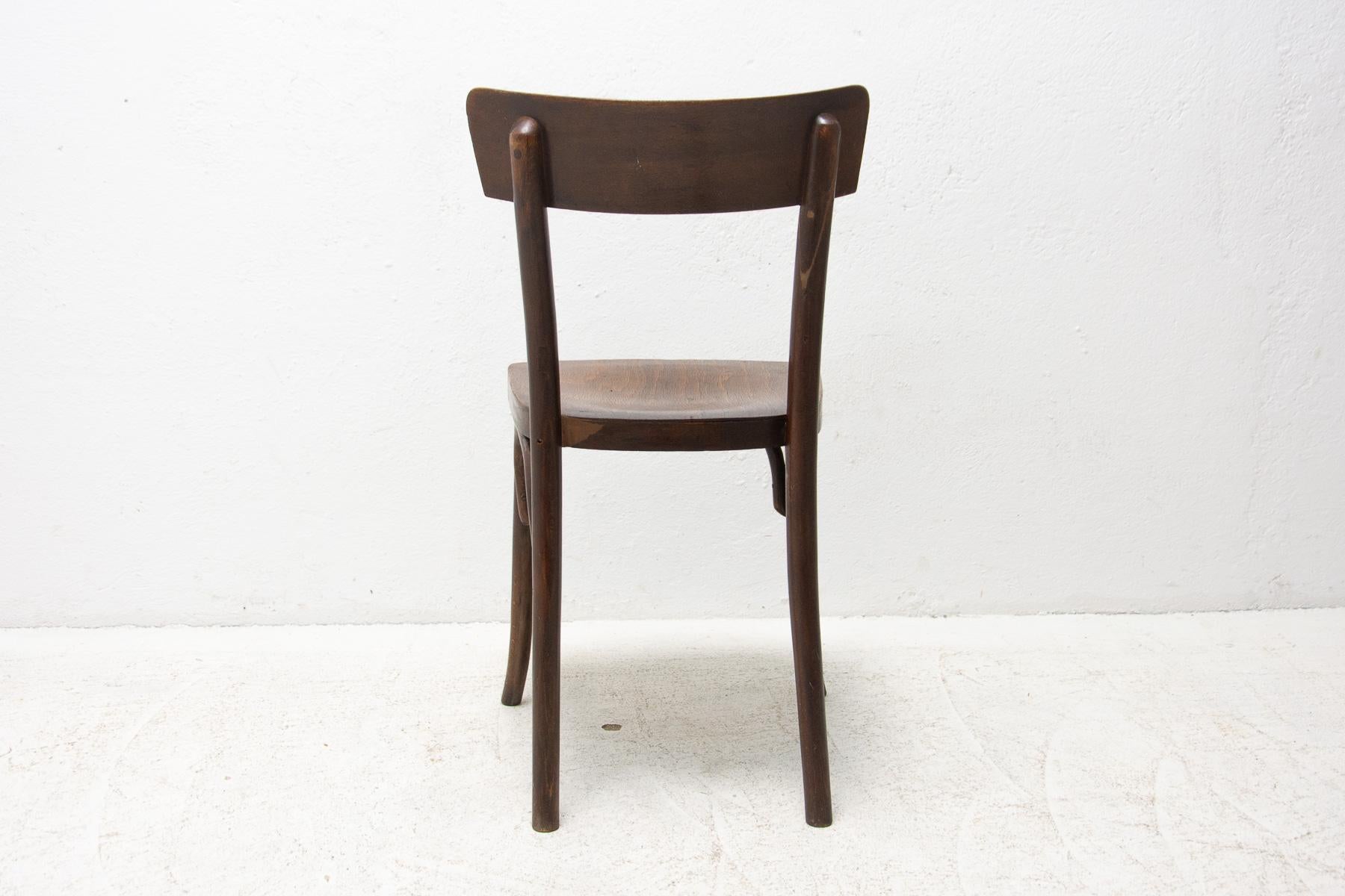 European Walnut Bistro Chair Thonet, Czechoslovakia, 1920´s