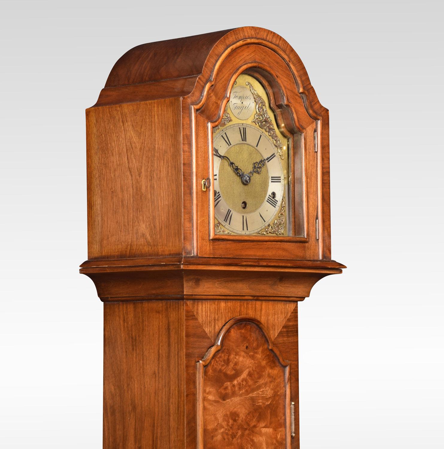 Walnut Cased Grandmother Clock 1