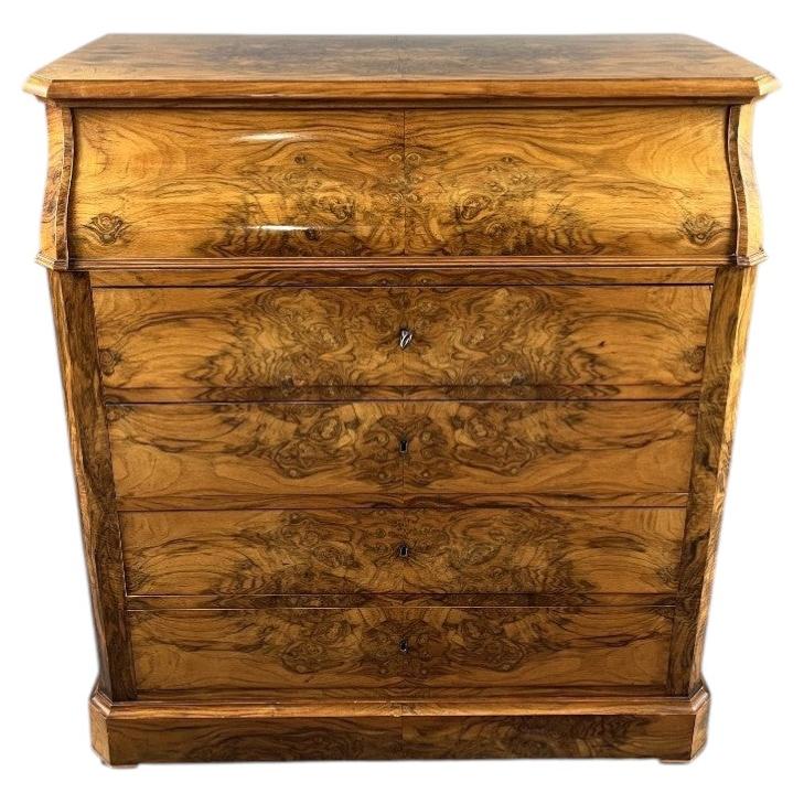 Walnut Dressing Table, 19th Century For Sale