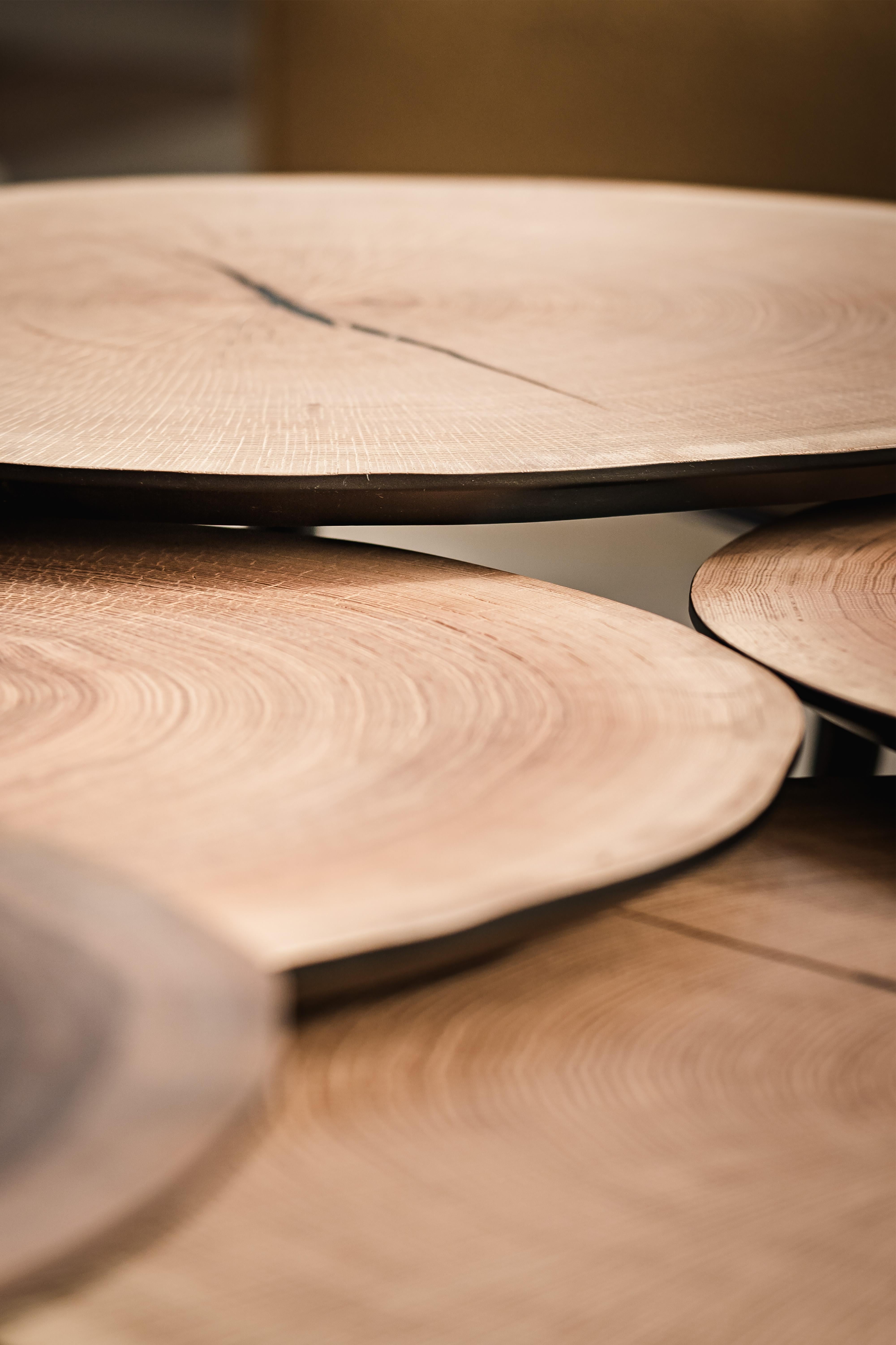 Table basse Empreinte de RALPH M en vente 8