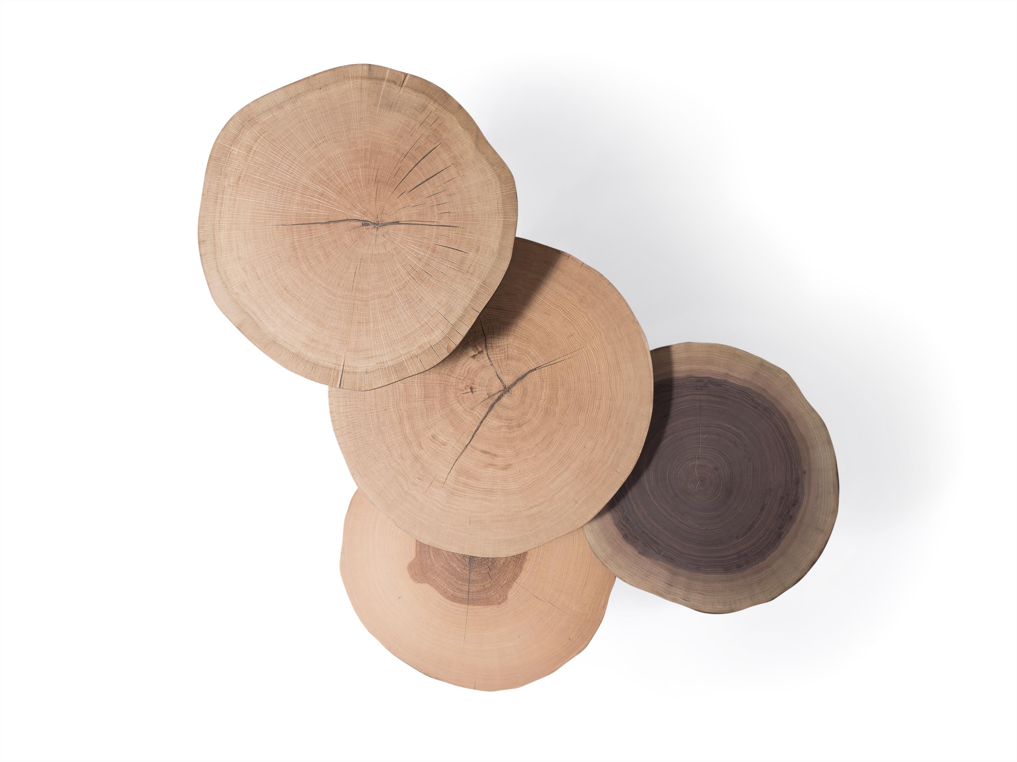 Table basse Empreinte de RALPH M en vente 2