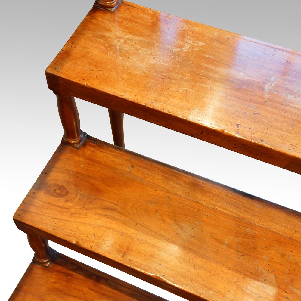 Early 20th Century Walnut Library Steps For Sale