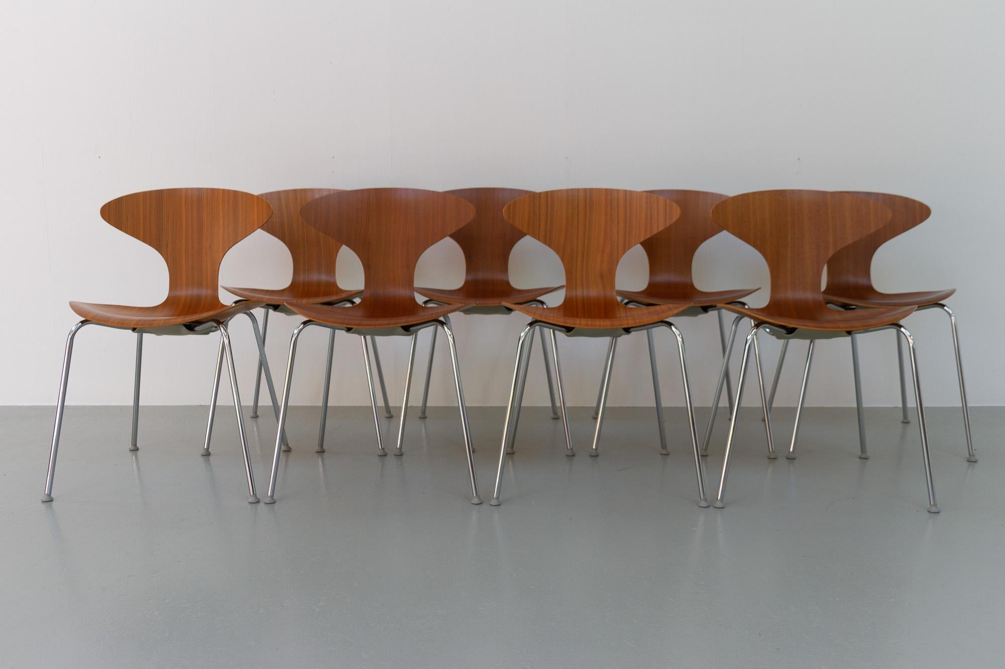 Walnut Orbit Dining Chairs by Ross Lovegrove for Bernhardt Design, Set of 8.
Set of eight Orbit wooden stacking chairs with chromed legs, designed by Ross Lovegrove for Bernhardt Design, USA manufactured under license by Danerka, Denmark