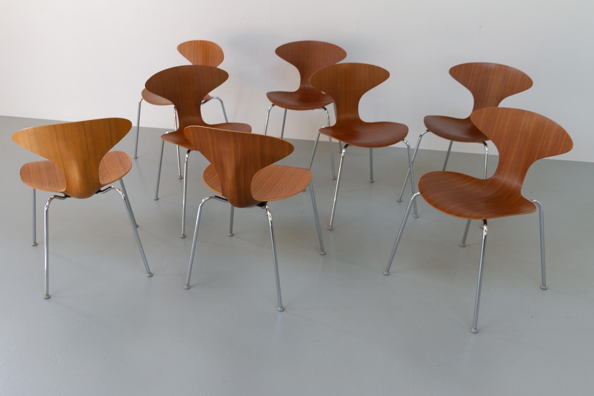 Walnut Orbit Dining Chairs by Ross Lovegrove for Bernhardt Design, Set of 8 In Good Condition For Sale In Asaa, DK