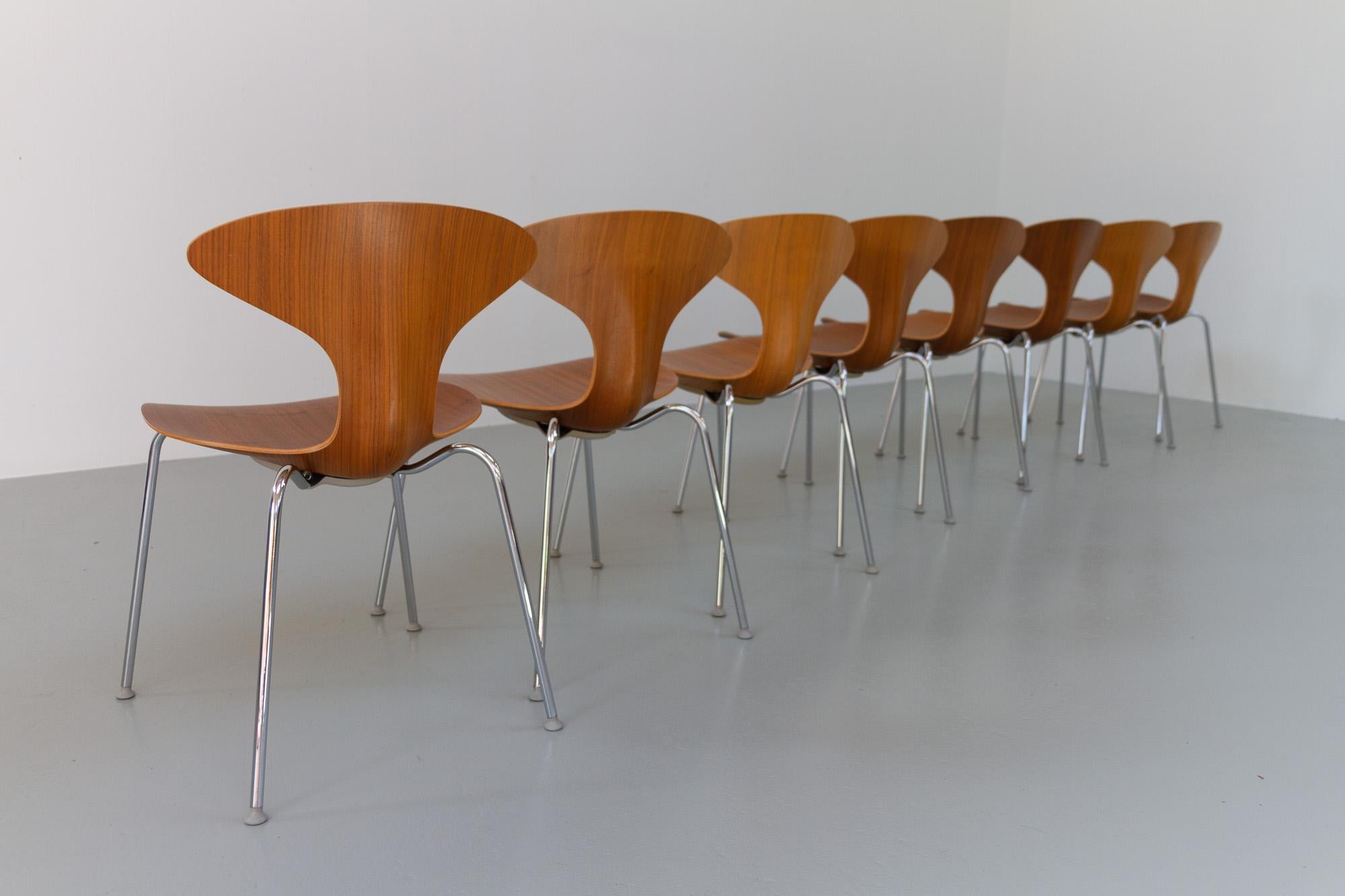 Contemporary Walnut Orbit Dining Chairs by Ross Lovegrove for Bernhardt Design, Set of 8 For Sale