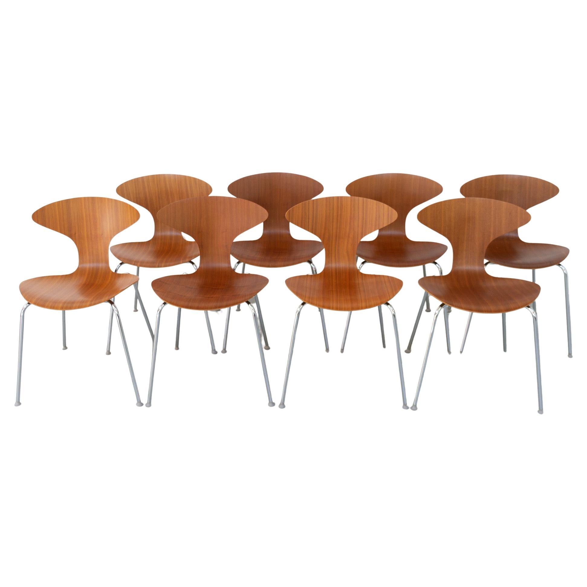 Walnut Orbit Dining Chairs by Ross Lovegrove for Bernhardt Design, Set of 8 For Sale