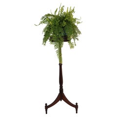 Walnut Plant Stand Georgian Style Late 19th Century