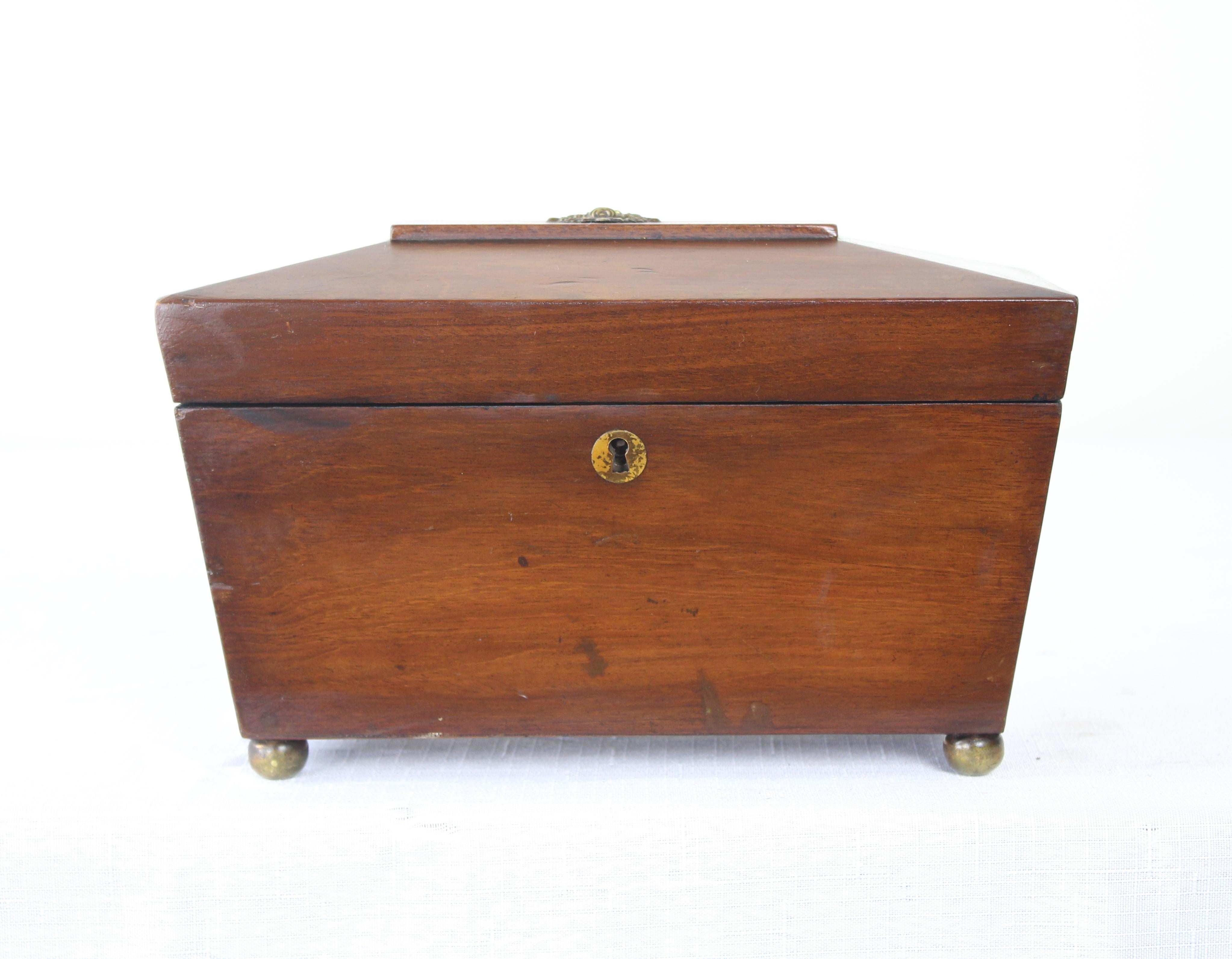 A splendid sarcophagus shaped walnut tea caddy on charming bun feet, circa 1820. Good color and patina and in very nice antique condition. The decorative brass piece at the top has a small area of damage. Original paper lining. No key.