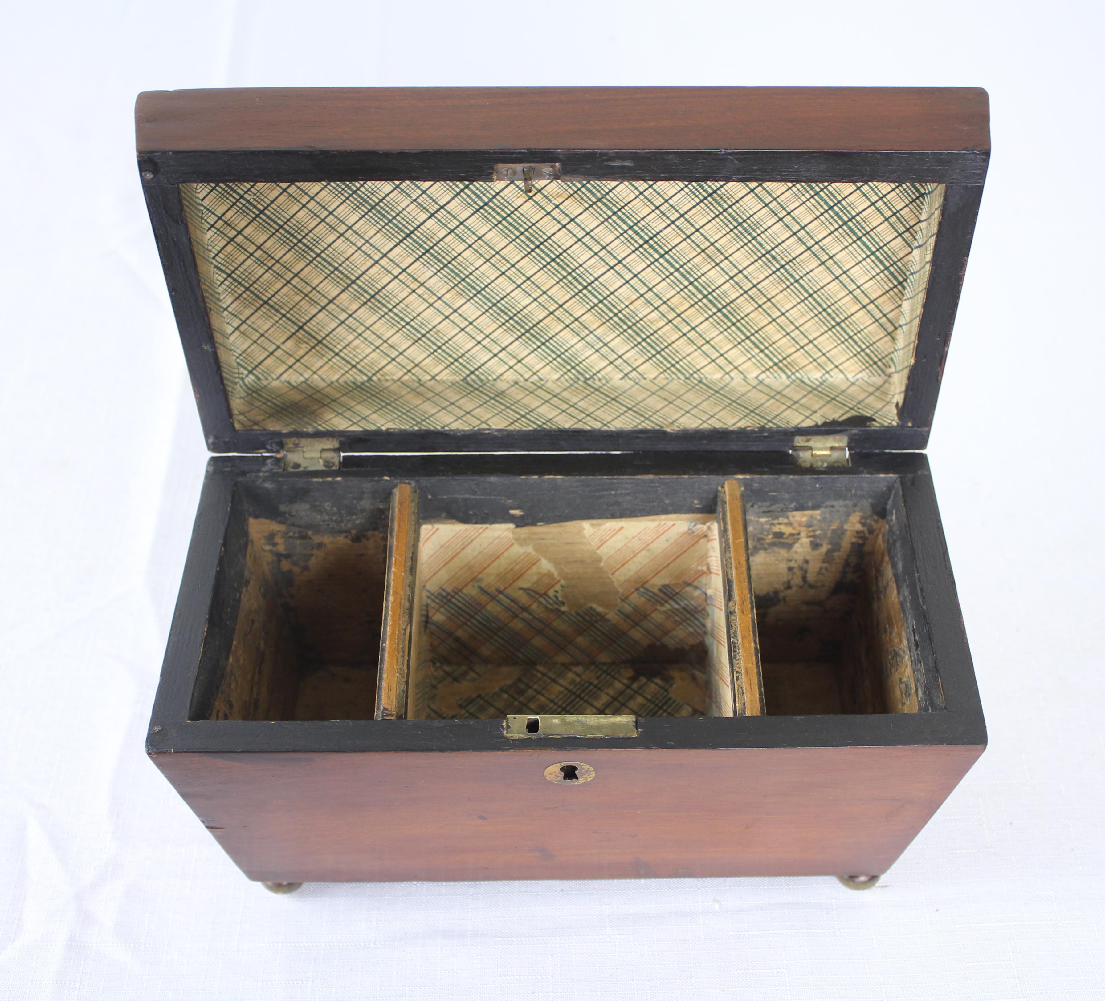 19th Century Walnut Regency Tea Caddy For Sale