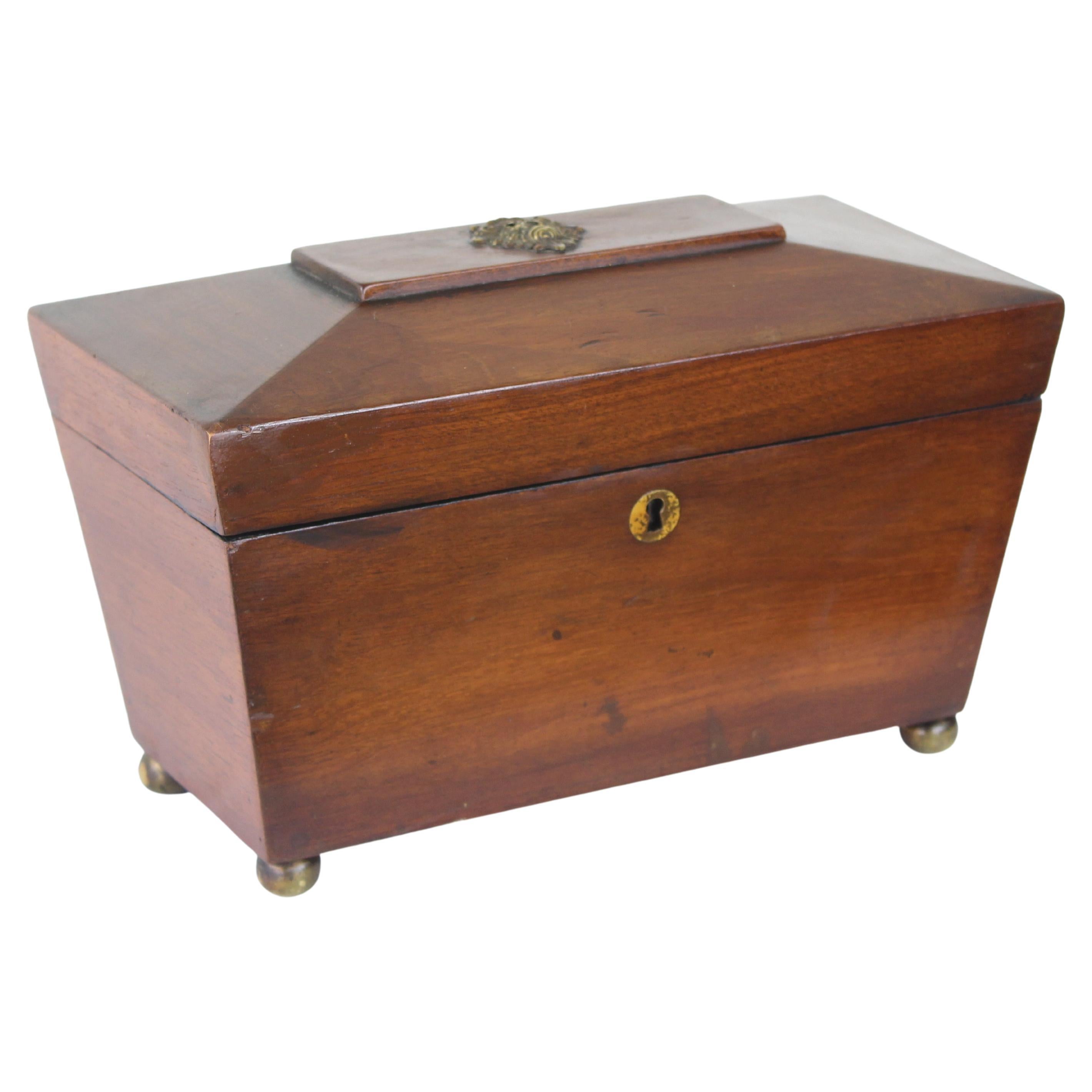 Walnut Regency Tea Caddy For Sale